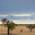 NAM OSHI Etosha 2016NOV26 089 : 2016, 2016 - African Adventures, Africa, Date, Etosha National Park, Month, Namibia, November, Oshikoto, Places, Southern, Trips, Year